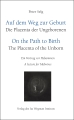Auf dem Weg zur Geburt Die Plazenta der Ungeborenen On the Path to Birth The Placenta of the Unborn